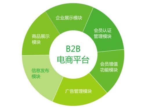 为什么需要定制的b2b网站系统建设方案?